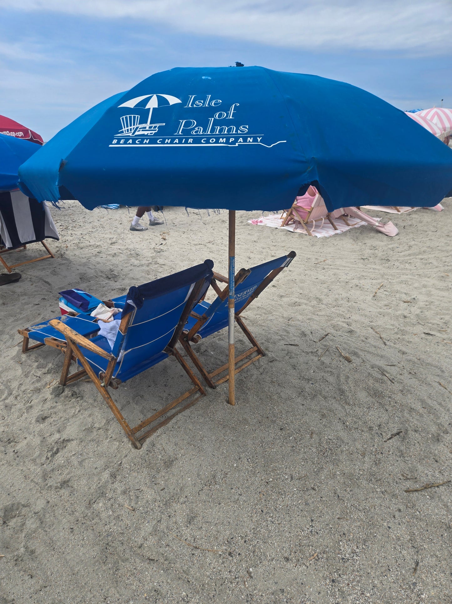 Bison on the Isles Beach Chair & Umbrella