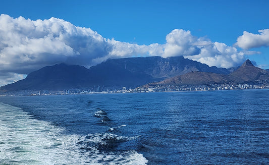 South Africa - January 2026