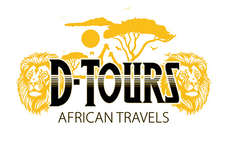 South Africa Payment - Lois McKinney