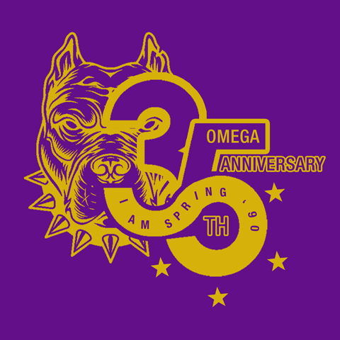 Spring 90 ΩΨΦ 35th anniversary Hoodie